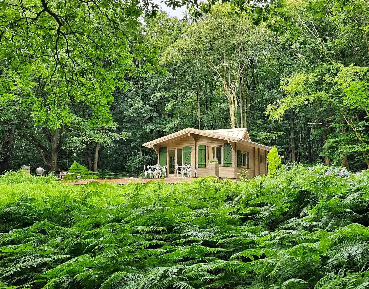 Le chalet posé au milieu des fougères, en lisière de forêt